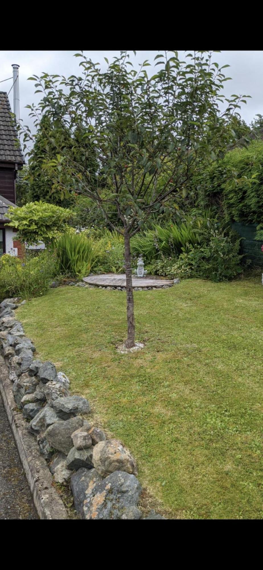 Contemporary Highland House Close To Town And Ben Nevis Fort William Exterior foto
